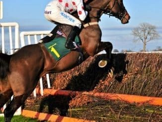 Top Rated Jumps Review