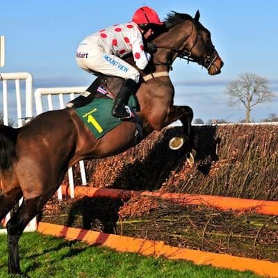 Top Rated Jumps Review