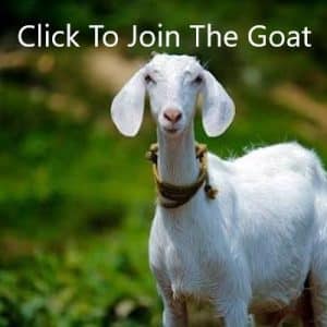 the goat live trial