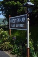 cheltenham racing