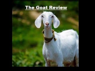 The Goat Review