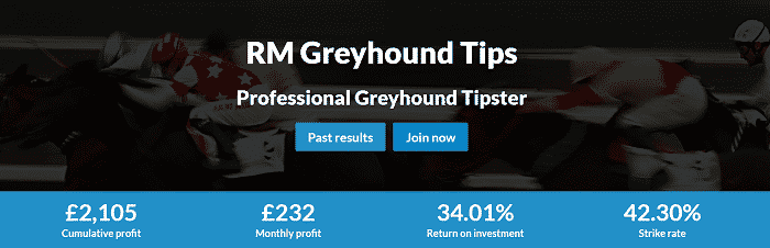 rm greyhound tips stats