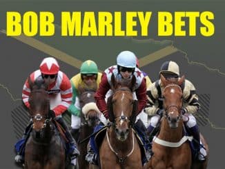 bob marley bets review