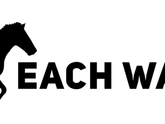 each way tips betting system review