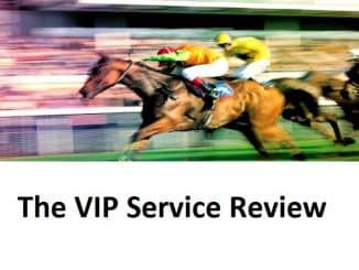 The V.I.P Service Review