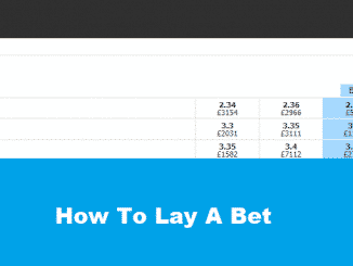 What Is Laying In Betting?