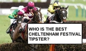 Who Is The Best Cheltenham Tipster?