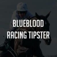 blueblood racing.tipster