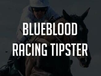 BlueBlood Racing Tipster Review