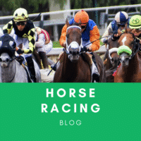 5 Horse Racing Tips For Beginners