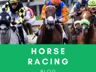 The Best Tips for Horse Racing Betting
