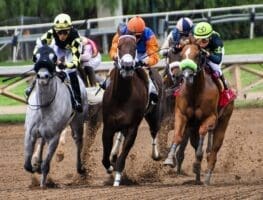 best horse racing tipsters on twitter