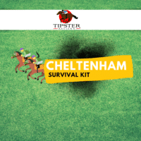 Cheltenham Festival Survival Kit 2022