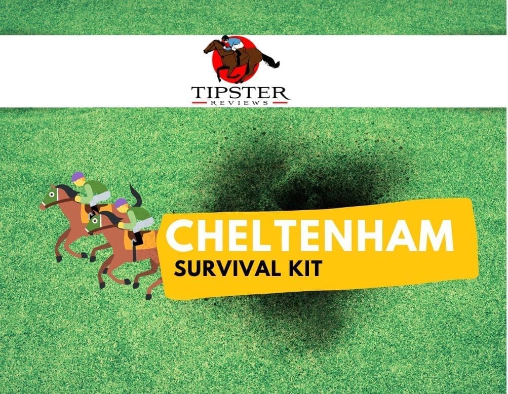 cheltenham festival survival guide 2022