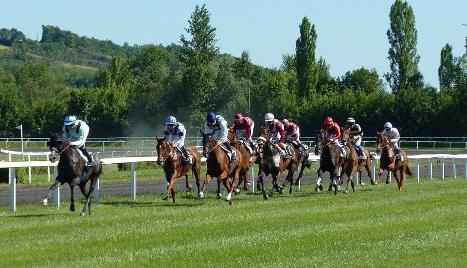 Horse racing among the most practiced sports in the world