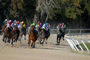 What are the different types of bets in horse racing?