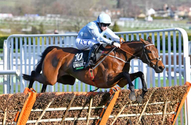 Can Honeysuckle Win a Champion Hurdle Hat-Trick or Will Beating Constitution Hill Prove a Tall Order?