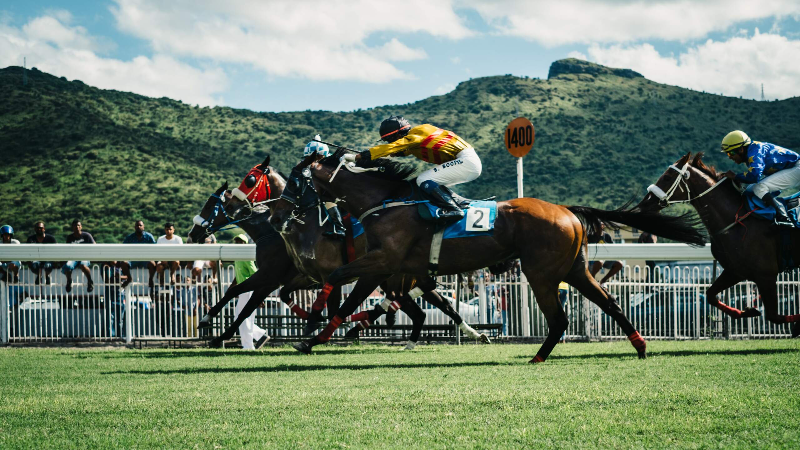The Best Horse Racing Betting Strategies In 2023