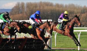 Cheltenham 2023 - 3 Horses Popular With Tipsters