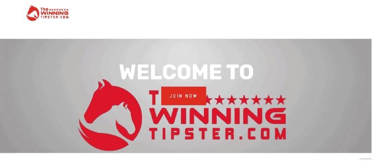 The Winning Tipster Review