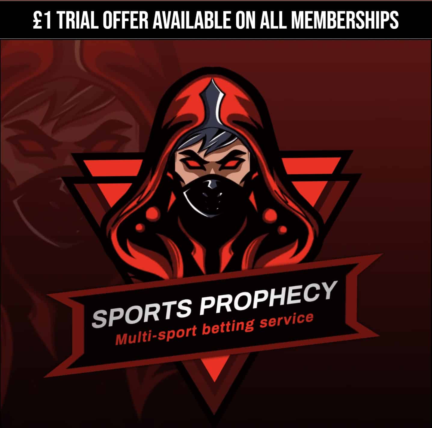 sports prophecy review