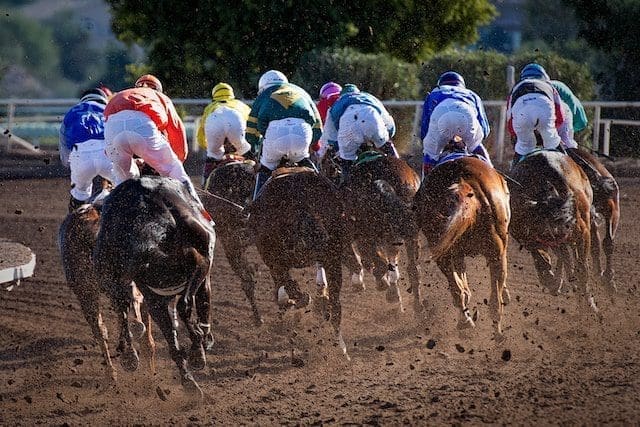 what makes a good tipster for horse racing