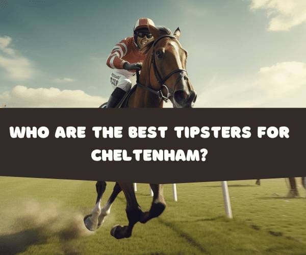 Best Tipsters For Cheltenham