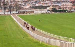 Key trends for the Stayers' Hurdle