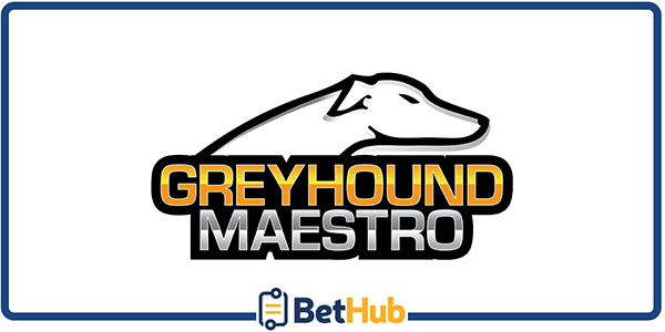 greyhound maestro top greyhound tipster 2024