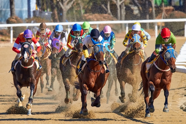 Guide To Understanding Horse Racing Form