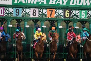 Who is the Best Horse Racing Tipster