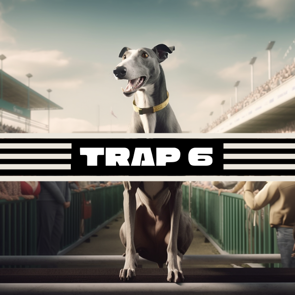 trap 6 greyhound tipster