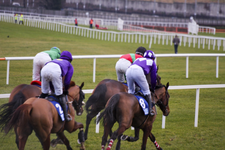 Britain’s best jumps horses