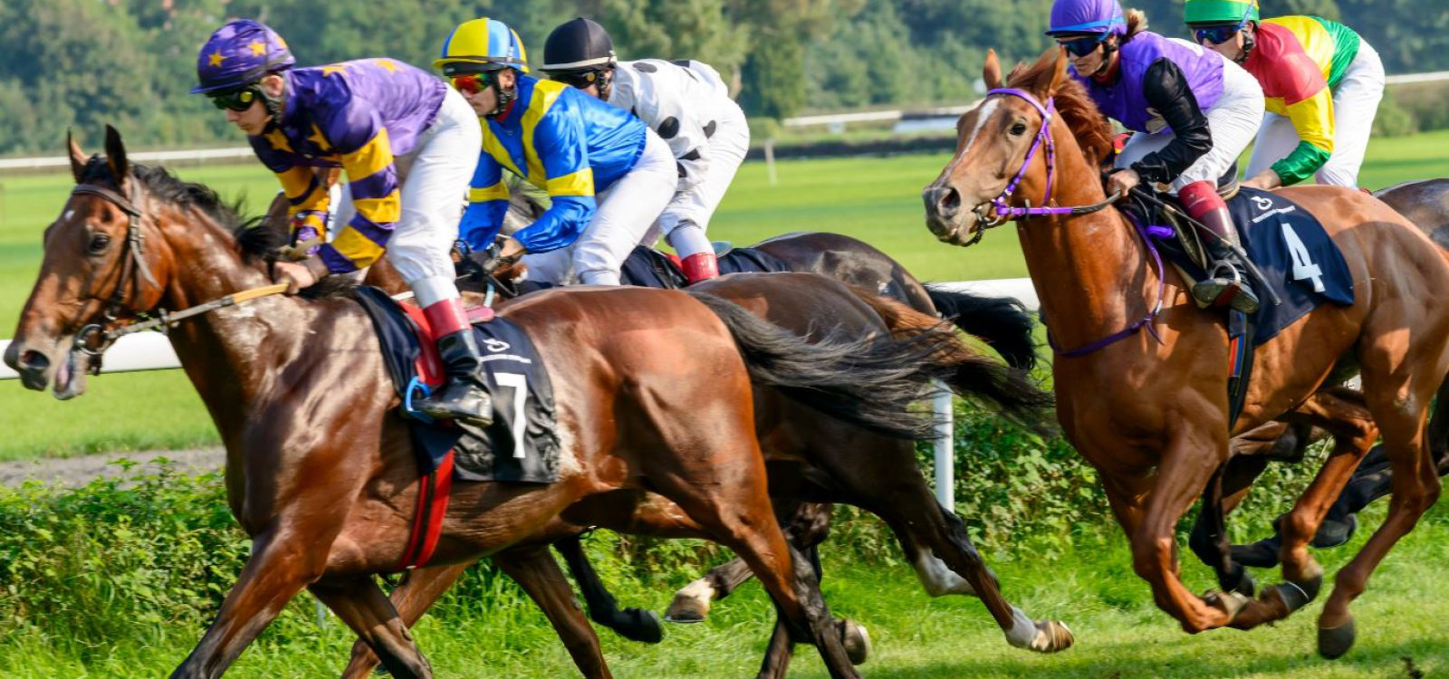 Melbourne Cup