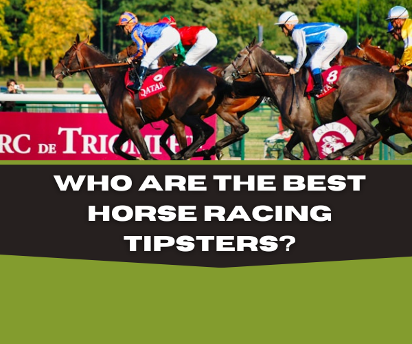 Most Successful Horse Racing Tipsters