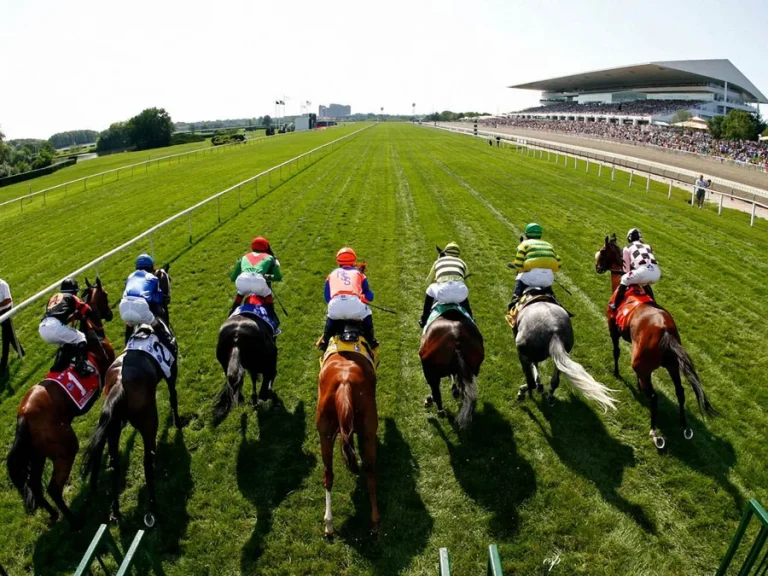 Understanding Odds in Horse Racing