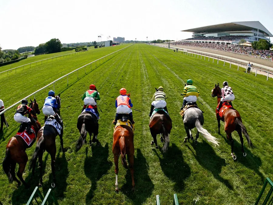 Understanding Odds in Horse Racing