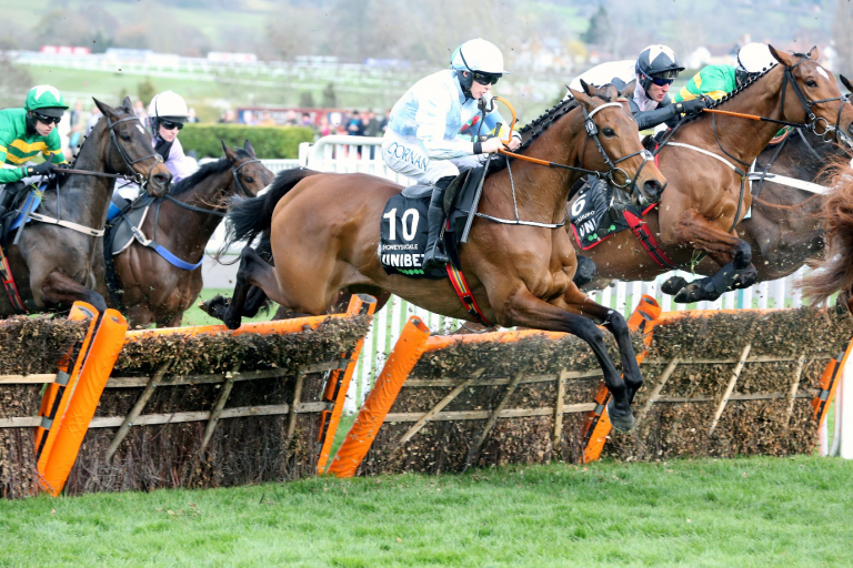 best novice races at the Cheltenham Festival