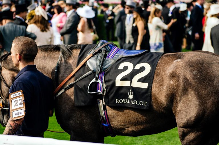 Ascot Gold Cup
