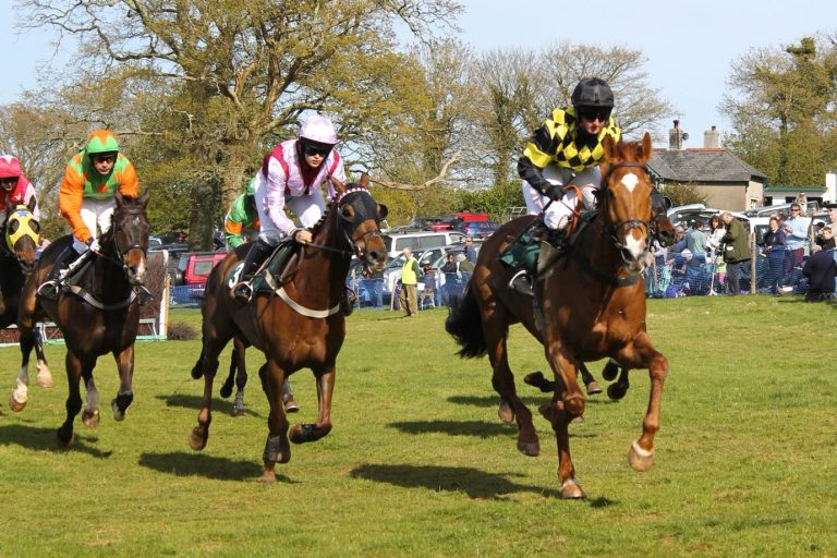Each-Way & Place Horse Betting