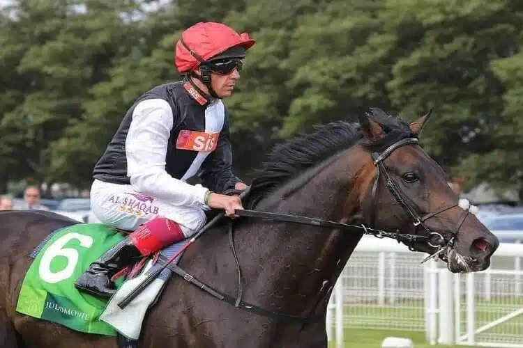 horse accas