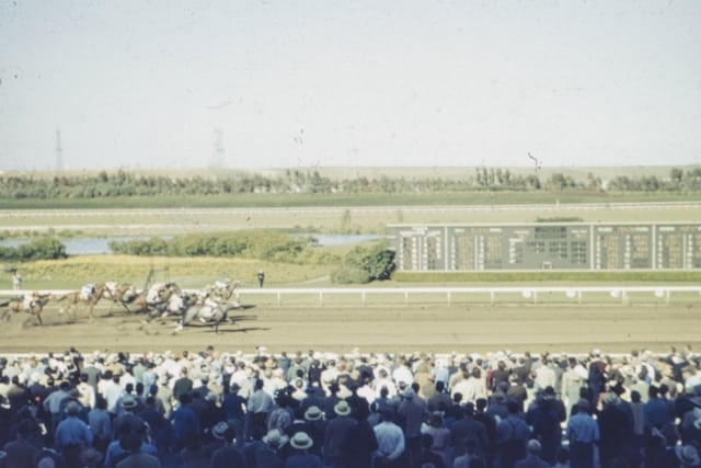 Belmont Stakes Odds