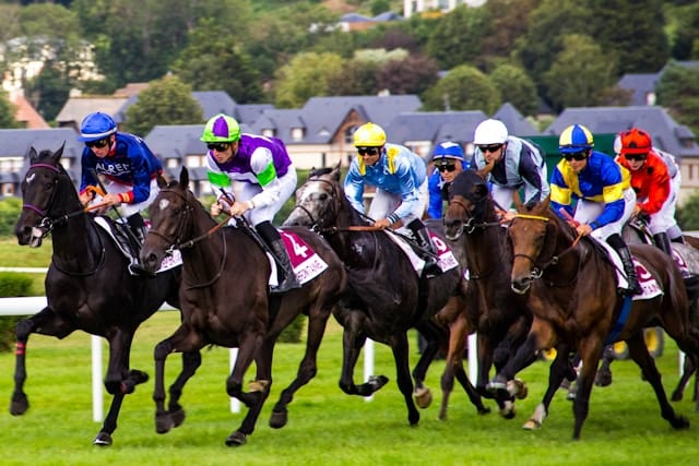 Tipster vs. Betting Bots
